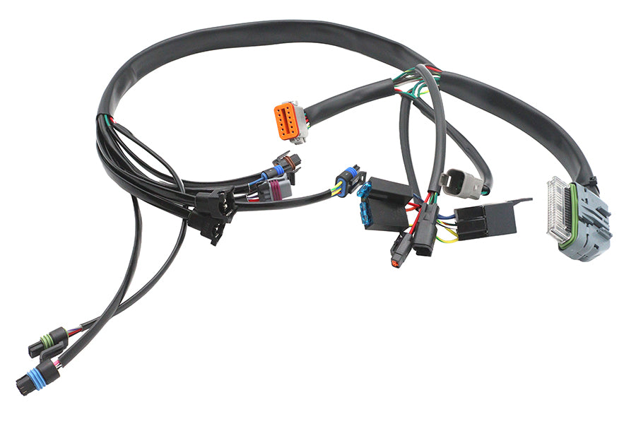 Complete EFI Harness
