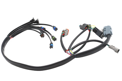 Complete EFI Harness