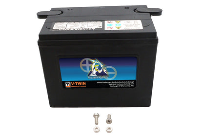 Ultima 12 Volt AGM Thundervolt Battery
