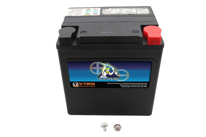 Ultima 12 Volt AGM Thundervolt Battery