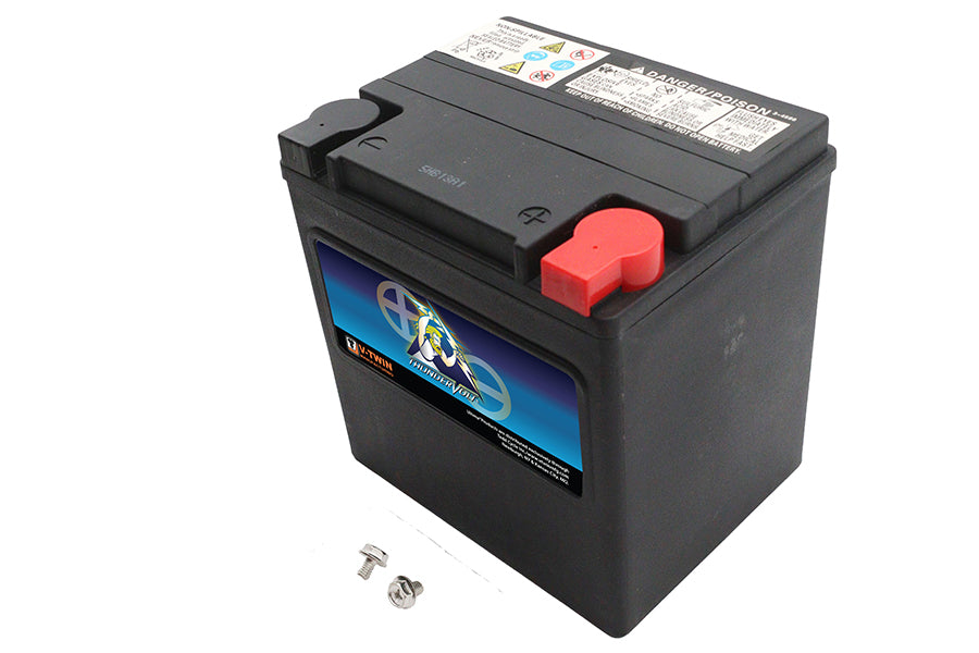 Ultima 12 Volt AGM Thundervolt Battery