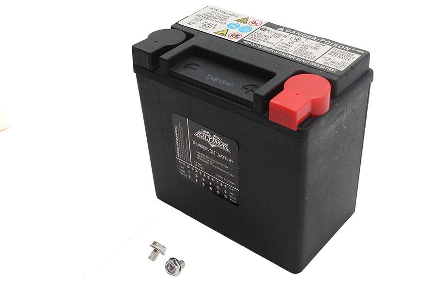 Ultima 12 Volt AGM Thundervolt Battery