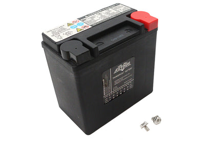 Ultima 12 Volt AGM Thundervolt Battery