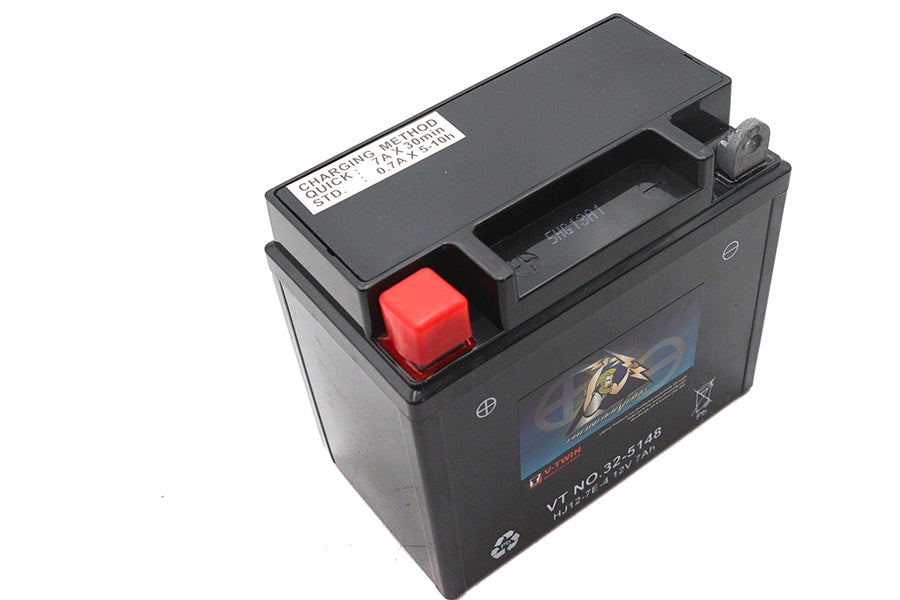 Ultima 12 Volt AGM Thundervolt Battery