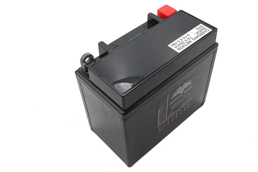 Ultima 12 Volt AGM Thundervolt Battery