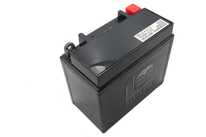 Ultima 12 Volt AGM Thundervolt Battery