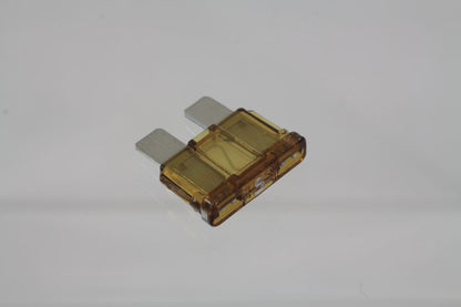 Replacement Fuse 5 Amp