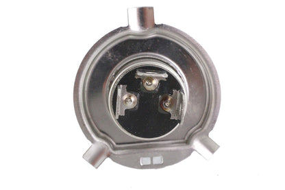 Xenon Bulb