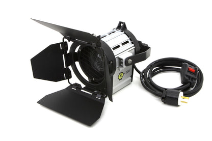 DTW 300 Tungsten Light