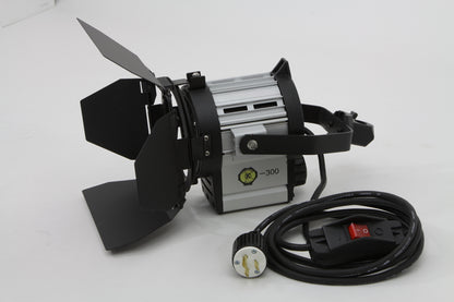 DTW 300 Tungsten Light