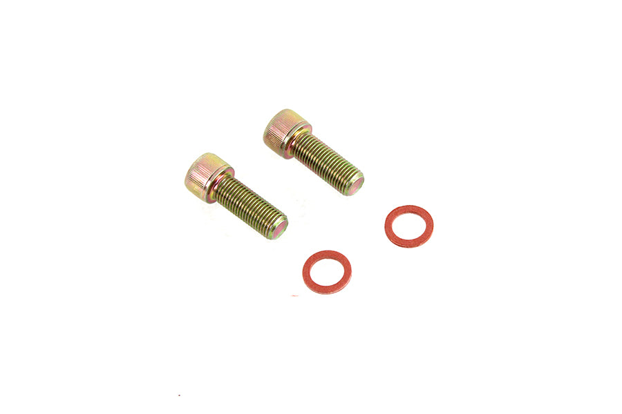 Damper Fork Tube Screw and Washer Kit Zinc Plated