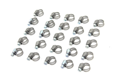 Stainless Steel Worm Clamp with Phillips Screw