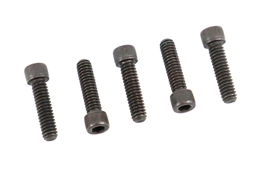 Allen Cap Screw Black 1/4-20 x 3/4