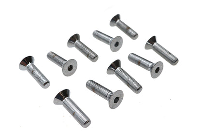 Allen Flat Head Screws Chrome 1/4 x 1