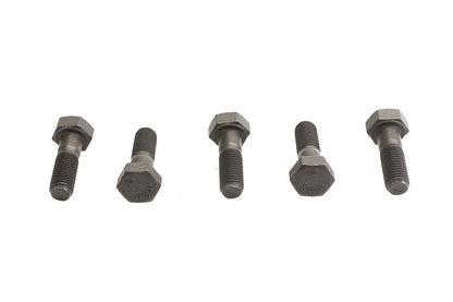 Hex Head Bolts Parkerized