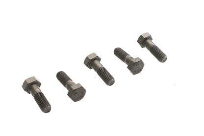 Hex Head Bolts Parkerized