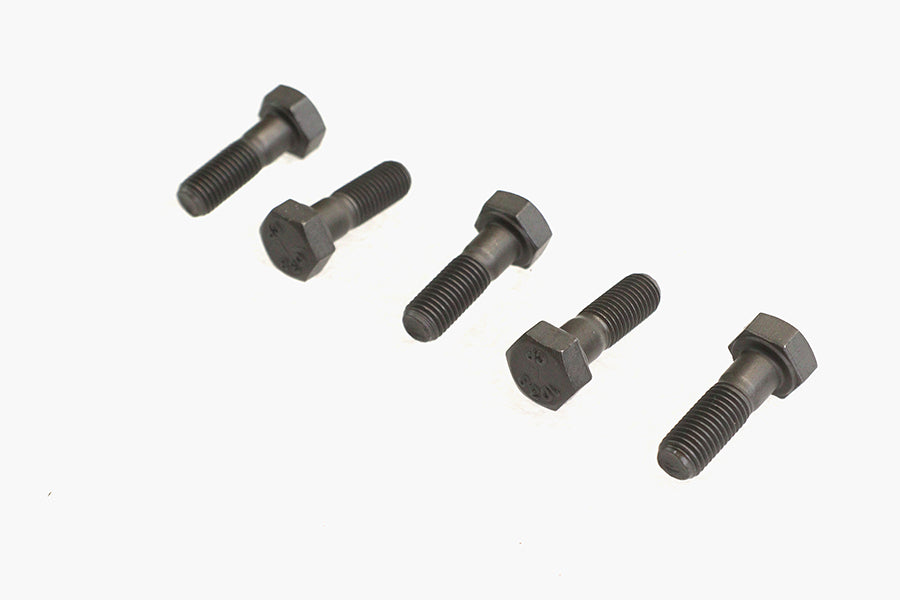 Hex Head Bolts Parkerized