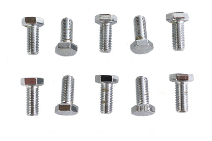 Hex Cap Bolts Chrome 5/16 x 3/4