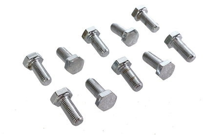 Hex Cap Bolts Chrome 5/16 x 3/4