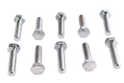 Hex Cap Bolts Chrome 5/16 x 1-1/4