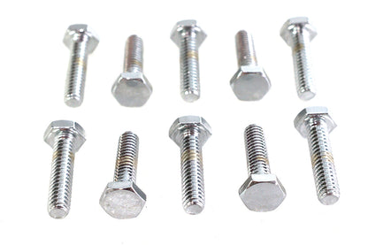 Hex Cap Bolts Chrome  1/4 x 1
