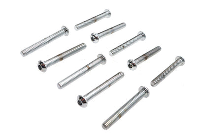 Allen Button Head Screws Chrome 1/4 X 2