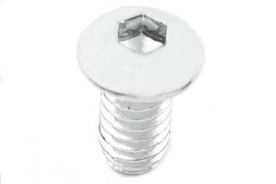 Allen Button Head Screws Chrome 5/16 X 3/4