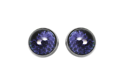 License Plate Frame Reflectors Blue Glass