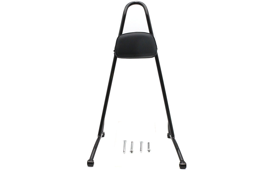 20 XL Sissy Bar with Pad