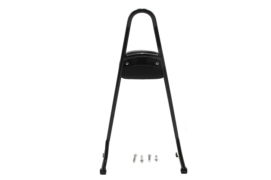 20 XL Sissy Bar with Pad
