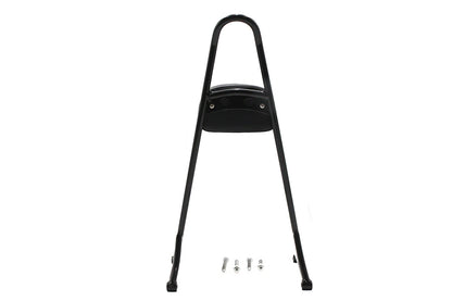 20 XL Sissy Bar with Pad