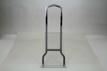 20 Tall Sissy Bar Back