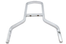 11 Sissy Bar Back