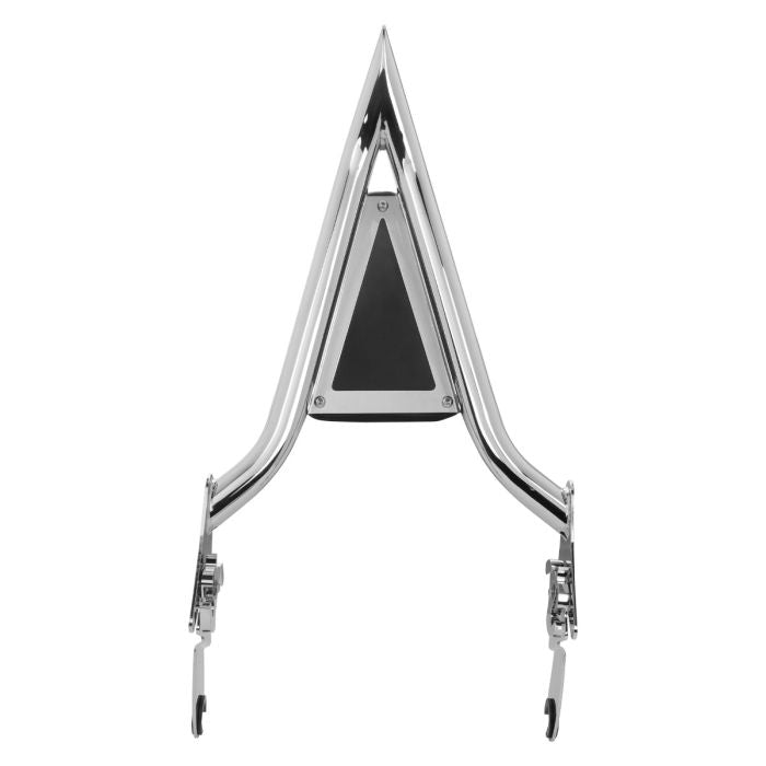 havoc sissy bar from hogworkz