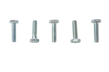 Hex Cap Bolts Zinc 1/4-20 x 1