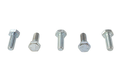 Hex Cap Bolts Zinc 5/16 X 7/8