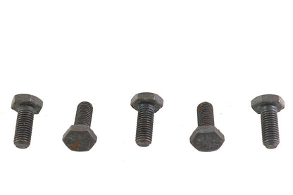 Black Hex Cap Bolts 1/4-20 x 3/8