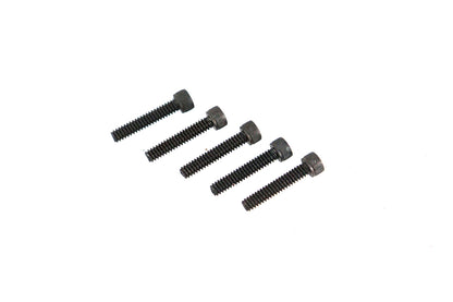 Allen Cap Screw Black 10-24 x 1",Y