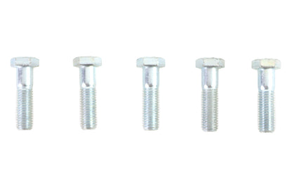 Zinc Hex Cap Bolts 1/2-13 x 2