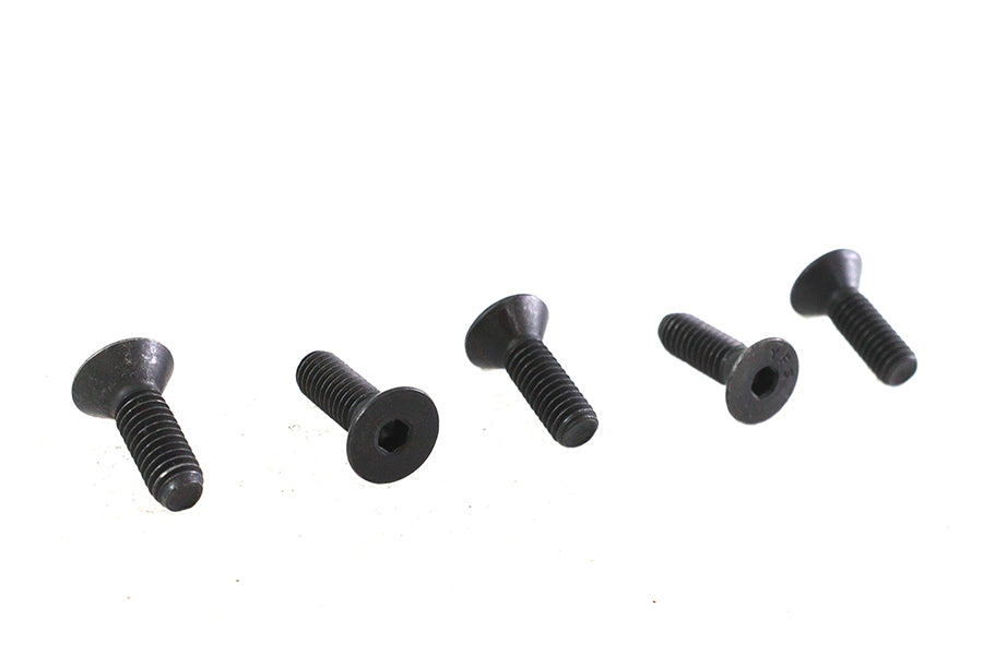 Allen Flat Head Screws Black 5/16-18 x 1