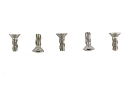 Allen Flat Head Screws Stainless Steel