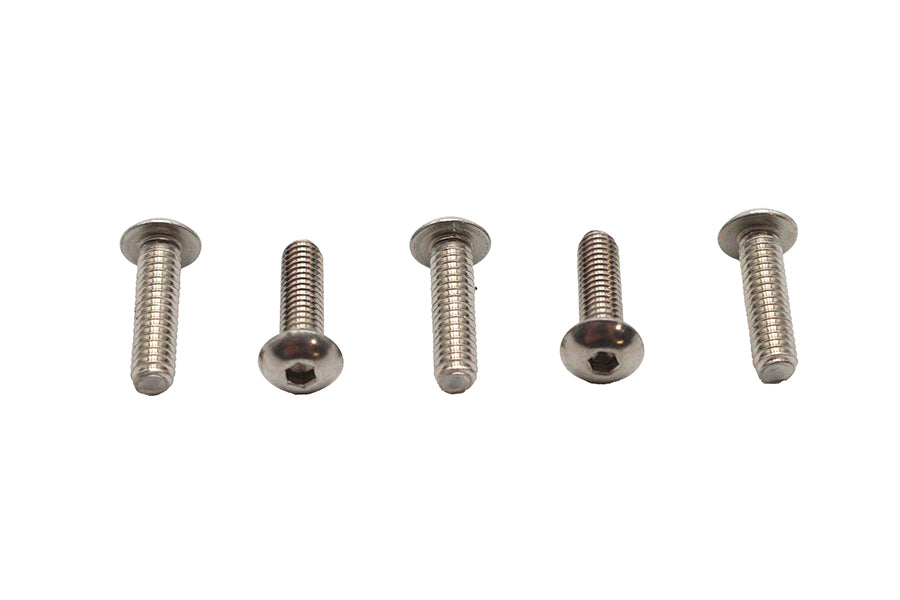 Allen Button Head Screws Stainless Steel 1/4-20 X 7/8",Y