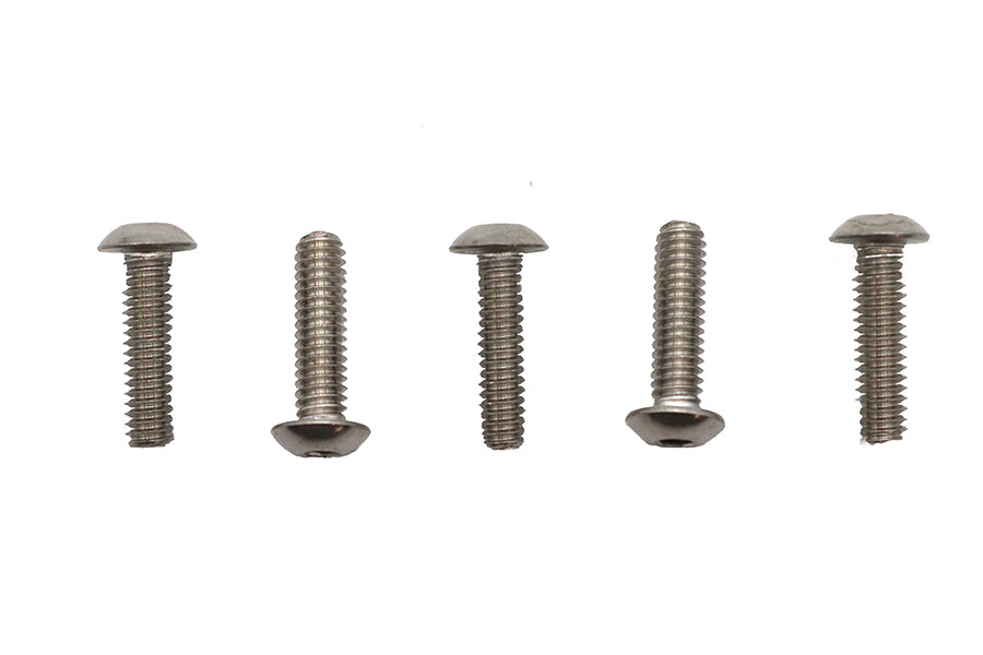 Allen Button Head Screws Stainless Steel 1/4-20 X 7/8",Y