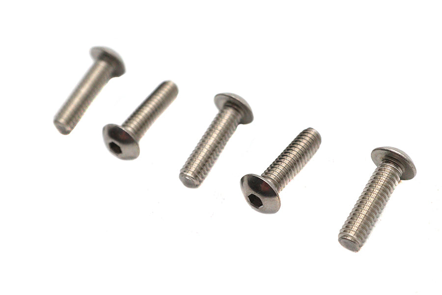 Allen Button Head Screws Stainless Steel 1/4-20 X 7/8",Y