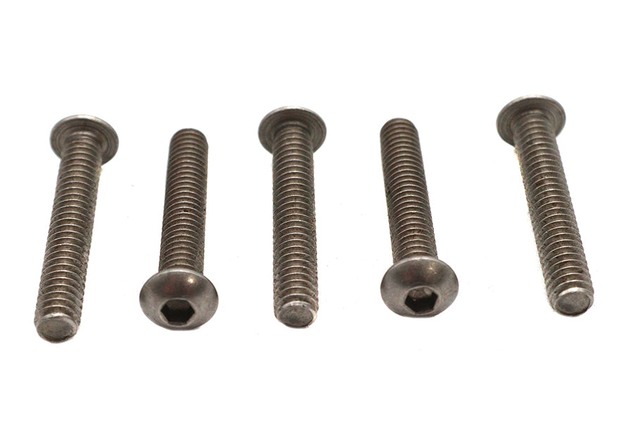 Allen Button Head Screws Stainless Steel 1/4-20 X 1-1/2",Y
