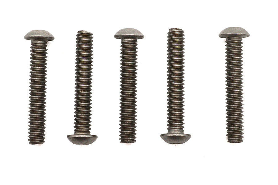 Allen Button Head Screws Stainless Steel 1/4-20 X 1-1/2",Y
