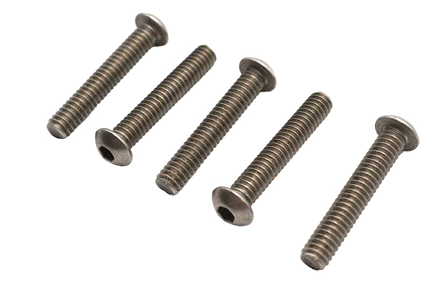 Allen Button Head Screws Stainless Steel 1/4-20 X 1-1/2",Y