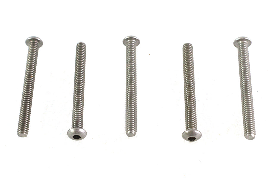 Allen Button Head Screws Stainless Steel 1/4-20 X 2-1/2",Y