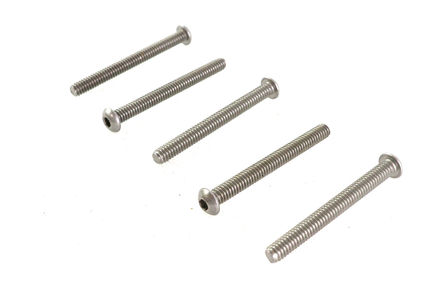 Allen Button Head Screws Stainless Steel 1/4-20 X 2-1/2",Y