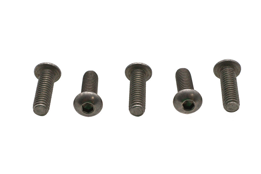 Allen Button Head Screws Stainless Steel 5/16-18 X 1",Y